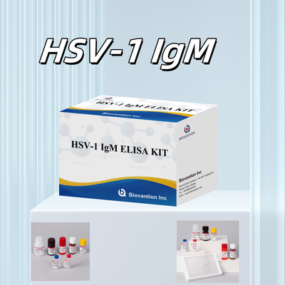 HSV-1 IgM Medizinische Diagnose Elisa Testkit mit 18 Monaten Haltbarkeit Ursprung