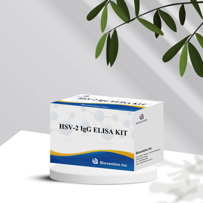 International anwendbares HSV-2-IgG-Diagnostisches Reagenz 96 Tests ELISA-Assay-Kit für die medizinische Diagnose