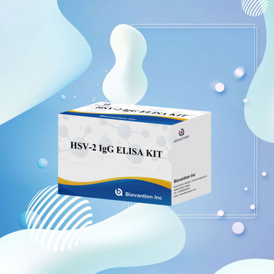 International anwendbares HSV-2-IgG-Diagnostisches Reagenz 96 Tests ELISA-Assay-Kit für die medizinische Diagnose