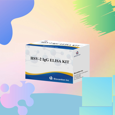 International anwendbares HSV-2-IgG-Diagnostisches Reagenz 96 Tests ELISA-Assay-Kit für die medizinische Diagnose