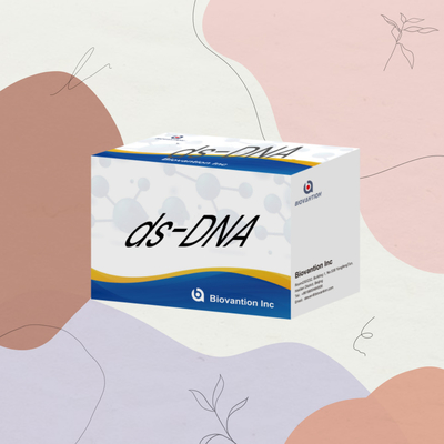 Biovantion ds-DNA-Sensitivität ELISA-Test-Kit IVD-Reagenz zur Anwendung beim Menschen