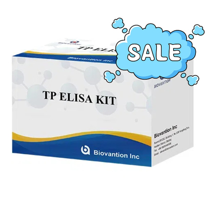 TP (Treponema pallidum) Ab ELISA-Test-Kit Syphilis SYP Enzymgebundenes Immunsorbent