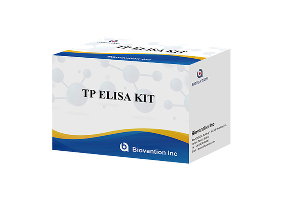 TP (Treponema pallidum) Ab ELISA-Test-Kit Syphilis SYP Enzymgebundenes Immunsorbent