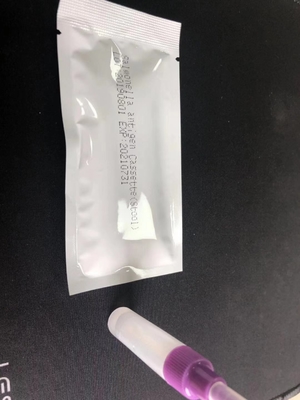 Salmonella IgG/IgM-Schnelltestkassette S. Typhus Einfach zu bedienendes Diagnosetest-Kit