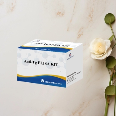 Anti-Tg-ELISA-Test-Kit Thyroglobulin Ab in vitro zur quantitativen Bestimmung