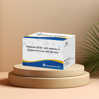 Fabrik-Direktverkauf B19 ELISA-Kit für menschliche Parvovirus-B19 IgM-Antikörper Elisa-Test-Kit mit 96T