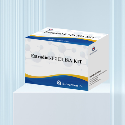 Fabrikpreis E2 ELISA-Test-Kit In-vitro-Erkennung Medizinische Erkennung Hohe Präzision