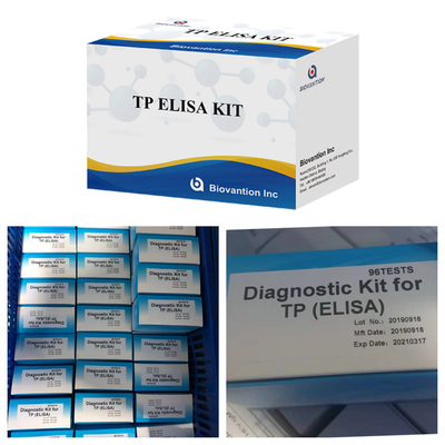 Warmverkauf ELISA-Test Syphilis-Antikörper Enzymgebundene Immunanalyse Elisa-Test-Kit