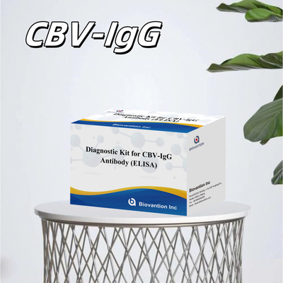 Hochspezifische CBV-IgG-Antikörper für den menschlichen Nachweis Elisa-Kits für die genaue Detektion von Ziel-Analyten