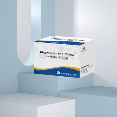 Hochspezifische CBV-IgG-Antikörper für den menschlichen Nachweis Elisa-Kits für die genaue Detektion von Ziel-Analyten