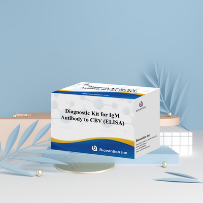 CBV-Igm ELISA KIT D Diagnose-Reagenz 18 Monate Haltbarkeitsdauer Enzymgebundener Immunsorptionstest