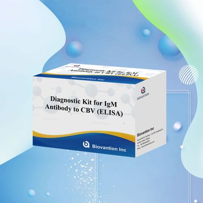 CBV-Igm ELISA KIT D Diagnose-Reagenz 18 Monate Haltbarkeitsdauer Enzymgebundener Immunsorptionstest