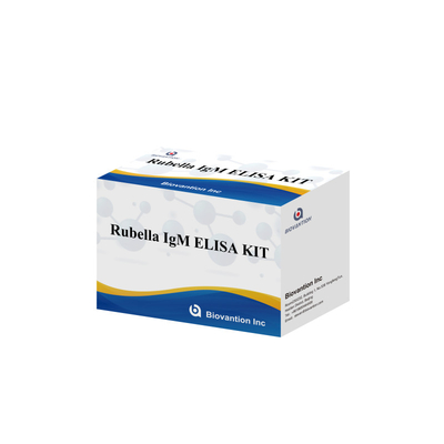 Elisa-Test-Kit für Rubella IgM-Erkennungsinstrument für Rubella IgG-Antikörper bei menschlicher Anwendung