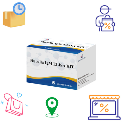 Elisa-Test-Kit für Rubella IgM-Erkennungsinstrument für Rubella IgG-Antikörper bei menschlicher Anwendung