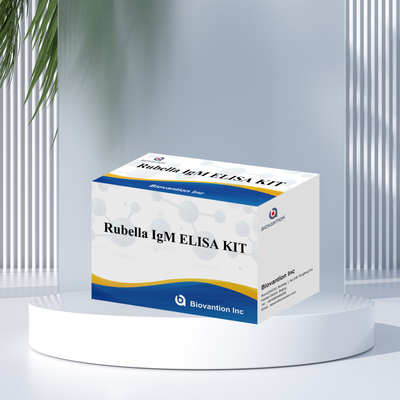 Elisa-Test-Kit für Rubella IgM-Erkennungsinstrument für Rubella IgG-Antikörper bei menschlicher Anwendung