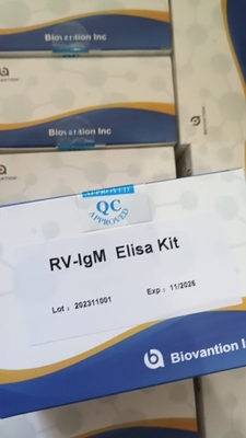 RV-M Empfindlichkeit Elisa Schnelle 2-3 Stunden Testzeit für genaue Ergebnisse