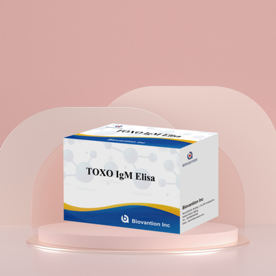 TOXO IgM Elisa Kit für den menschlichen Gebrauch Diagnostikreagenz Test Kit mit 96 Kit