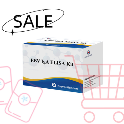 EBV HUMAN ELISA Test Kit 2-8°C Empfindlichkeitsdiagnostik für IgA-Antikörper gegen EBV-EA