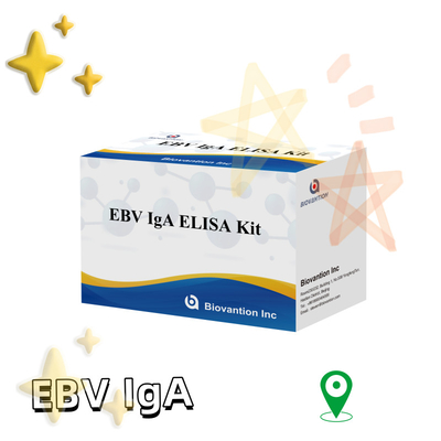 EBV HUMAN ELISA Test Kit 2-8°C Empfindlichkeitsdiagnostik für IgA-Antikörper gegen EBV-EA