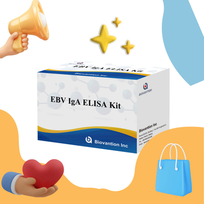 EBV HUMAN ELISA Test Kit 2-8°C Empfindlichkeitsdiagnostik für IgA-Antikörper gegen EBV-EA