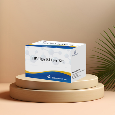 EBV HUMAN ELISA Test Kit 2-8°C Empfindlichkeitsdiagnostik für IgA-Antikörper gegen EBV-EA