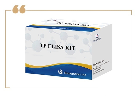 TP-Antikörper-Enzym-verknüpfte Immunanalyse Elisa-Test-Kit