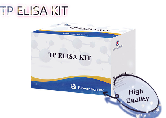 TP-Antikörper-Enzym-verknüpfte Immunanalyse Elisa-Test-Kit