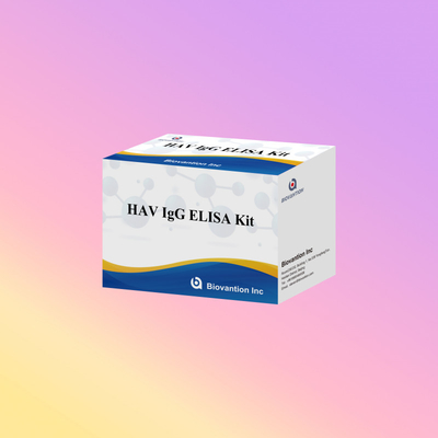 HAV IgG ELISA Testreagenz-Kit 95% Empfindlichkeit