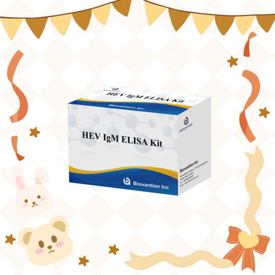 Genaue und empfindliche HEV-IgM-Elisa-Test-Kit für präzise Erkennung und Analyse