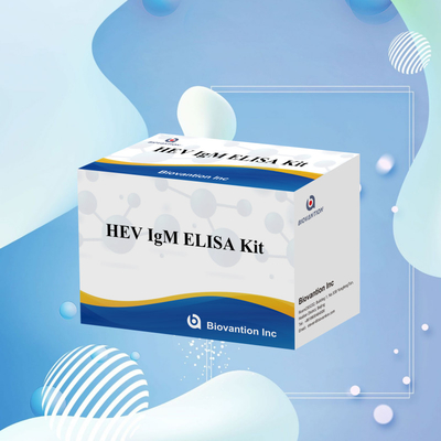 Genaue und empfindliche HEV-IgM-Elisa-Test-Kit für präzise Erkennung und Analyse