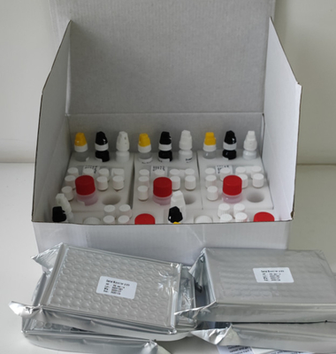 Labor- oder Krankenhaus-Hochgenauigkeits-H.Pylori IgG Elisa-Test-Kit