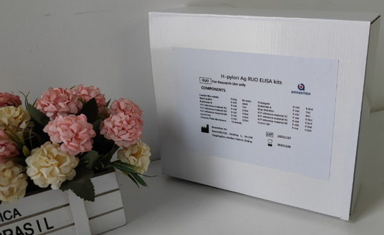 Labor- oder Krankenhaus-Hochgenauigkeits-H.Pylori IgG Elisa-Test-Kit