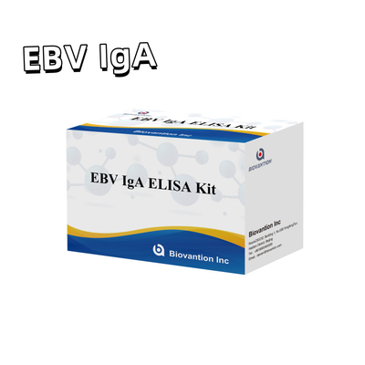HUMAN EBV-EA DIAGNOSITC ELISA Testkit 2-8°C Empfindlichkeit für IgA-Antikörper gegen