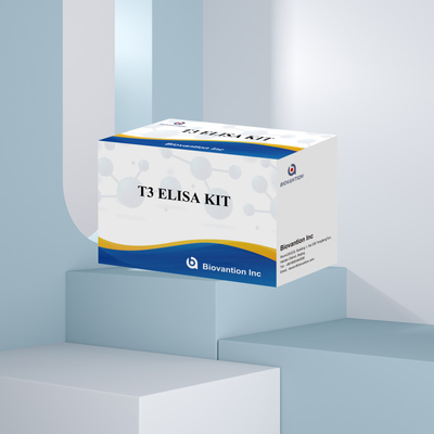 Hochempfindliches und spezifisches Elisa-Test-Kit für die quantitative Detektion von T3 im menschlichen Serum mit kurzer Nachweiszeit