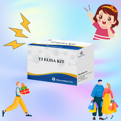 Hochempfindliches und spezifisches Elisa-Test-Kit für die quantitative Detektion von T3 im menschlichen Serum mit kurzer Nachweiszeit