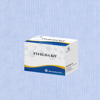 Genaue FT4 Elisa-Testkits für quantitative und qualitative Analysen