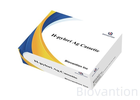 H. Pylori-Antikörper Ab Rapid Test Strip Kit Diagnosekit zur Erkennung der Helicobacter Pylori-Infektion