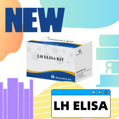 Empfindliches LH-ELISA-Test-Kit zur Diagnose zur Früherkennung von Krankheiten und Infektionen