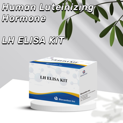 Empfindliches LH-ELISA-Test-Kit zur Diagnose zur Früherkennung von Krankheiten und Infektionen