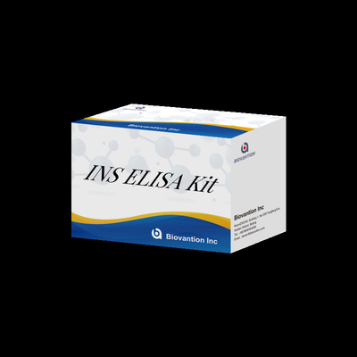 Genaue, benutzerfreundliche Insulin-INS 96 Test-Ivd-Reagenzien zur Diagnose