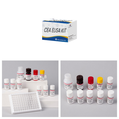 Genaue CEA Quantitative Elisa Testkit für die quantitative und qualitative Analyse von Zielen