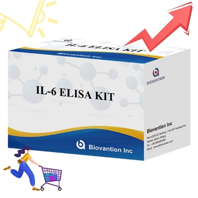 High Sensitivity ELISA Kit für IL6-Erkennung Zuverlässige Forschungsreagenzien für eine genaue Zytokinanalyse