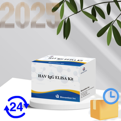 Hohe Empfindlichkeit HAV IgG ELISA-Kit genaue Hepatitis A-Viruserkennung zuverlässig CE-zertifiziert für klinische und Forschungszwecke
