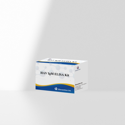 HAV IgM ELISA Kit Hohe Empfindlichkeit Hepatitis A Viruserkennung Zuverlässiger genauer Diagnosetest für klinische Laboratorien