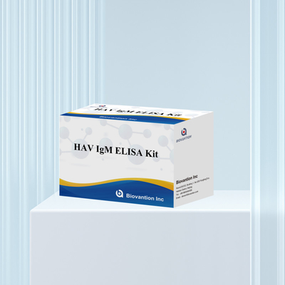 HAV IgM ELISA Kit Hohe Empfindlichkeit Hepatitis A Viruserkennung Zuverlässiger genauer Diagnosetest für klinische Laboratorien