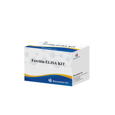 Biovantion Hohe Empfindlichkeit Ferritin Elisa Testkit Quantitative Detektion für klinische Diagnostik und Forschung Nutzung menschlicher Serumplasmaproben