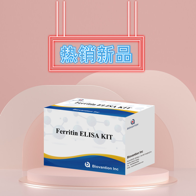 Biovantion Hohe Empfindlichkeit Ferritin Elisa Testkit Quantitative Detektion für klinische Diagnostik und Forschung Nutzung menschlicher Serumplasmaproben