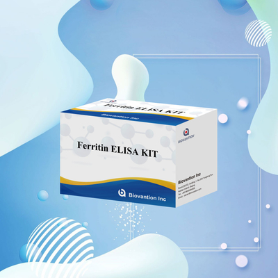 Biovantion Hohe Empfindlichkeit Ferritin Elisa Testkit Quantitative Detektion für klinische Diagnostik und Forschung Nutzung menschlicher Serumplasmaproben