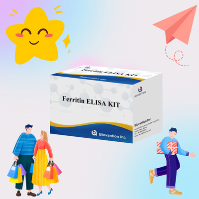 Biovantion Hohe Empfindlichkeit Ferritin Elisa Testkit Quantitative Detektion für klinische Diagnostik und Forschung Nutzung menschlicher Serumplasmaproben