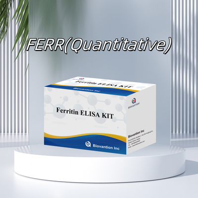 Biovantion Hohe Empfindlichkeit Ferritin Elisa Testkit Quantitative Detektion für klinische Diagnostik und Forschung Nutzung menschlicher Serumplasmaproben